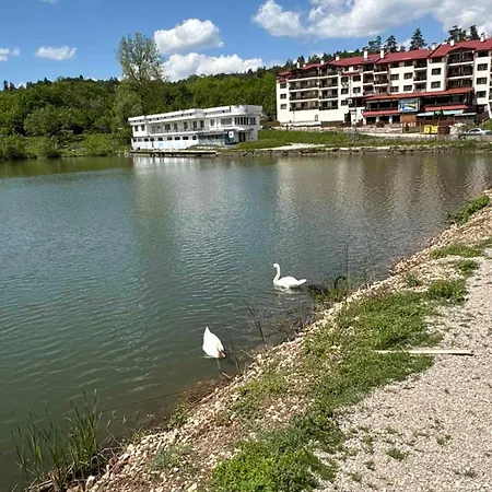 за гости